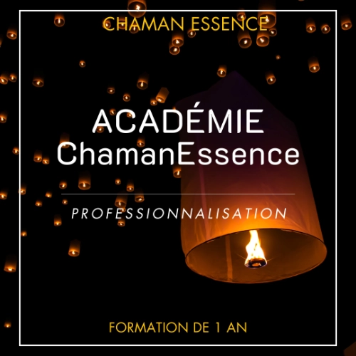 académie chaman essence