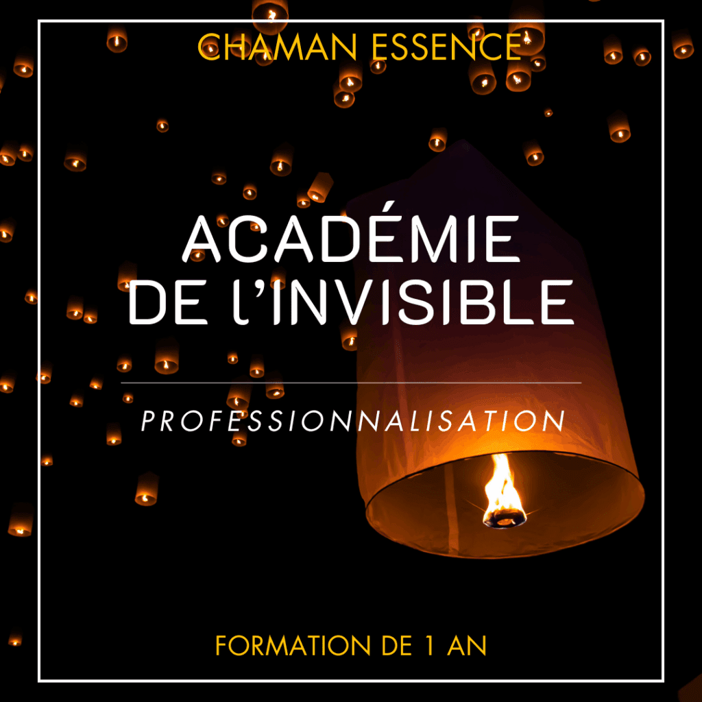 L'académie de l'invisible : formation chamanisme