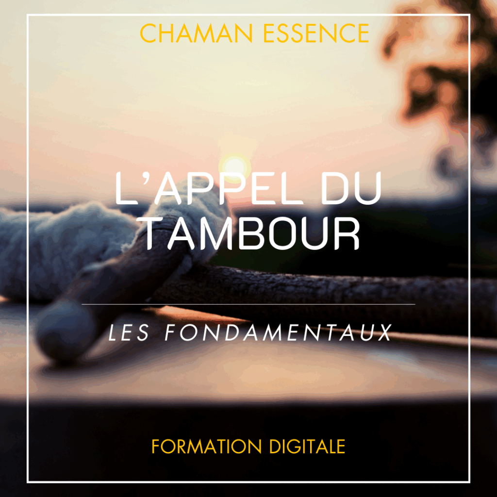 L'APPEL DU TAMBOUR formation chamanique digitale