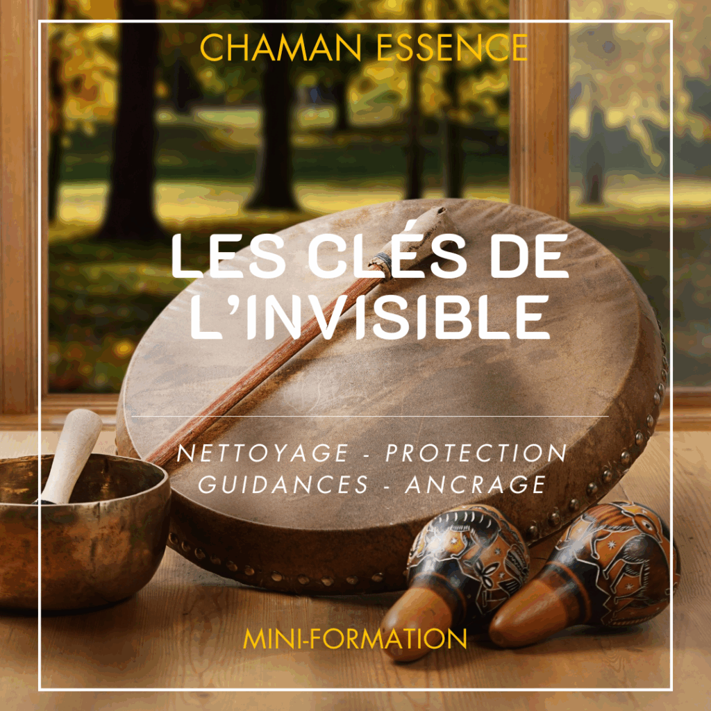 mini-formation chamanique : nettoyage, protection, guidances, ancrage